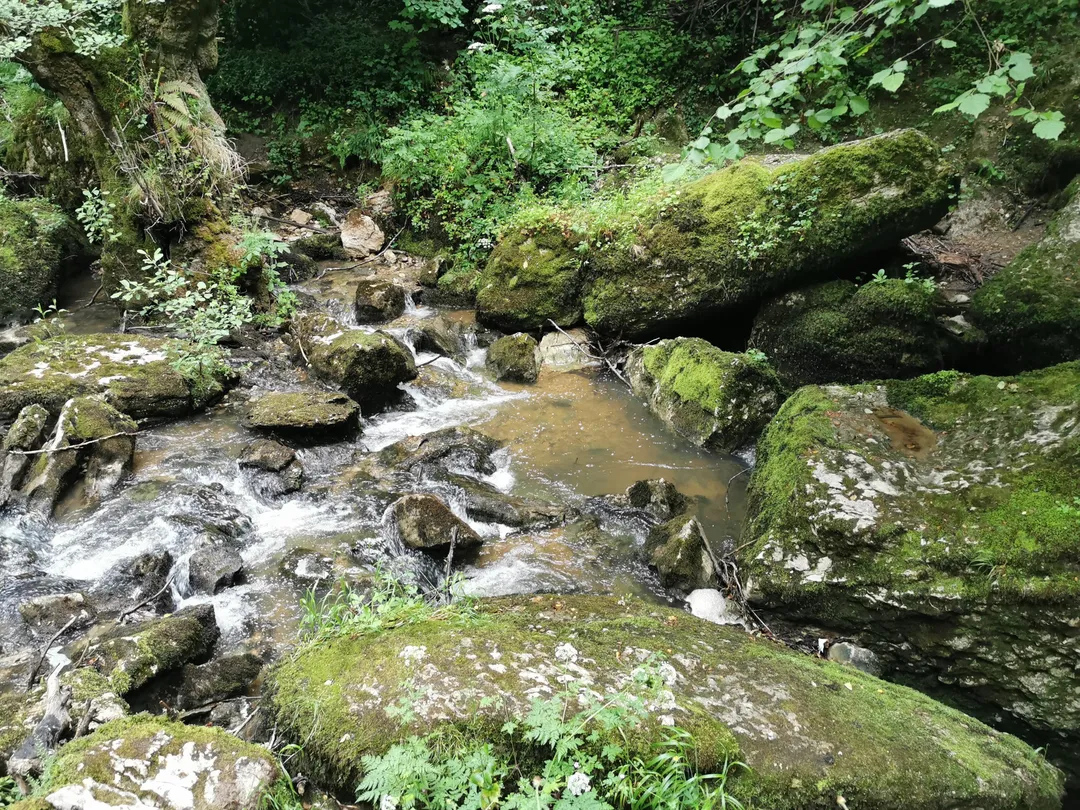 4_Sumidero del Río Guareña