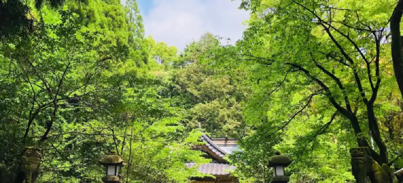山鹿温泉周辺のホテル