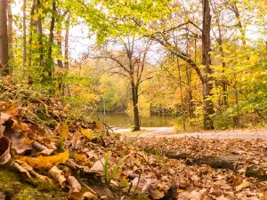 Prairie Creek Park- Vigo County Parks and Recreation Department