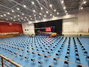 Arena Puerto Montt