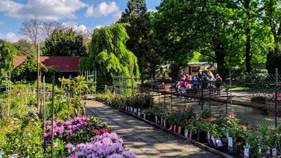 Shop ornamental plants