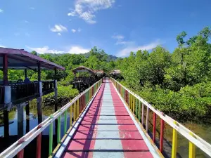 Wisata Hutan Mangrove Desa Budo