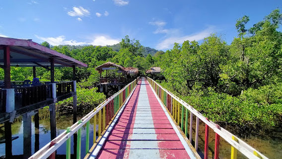 Wisata Hutan Mangrove Desa Budo