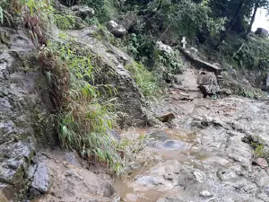 virgen de la peña