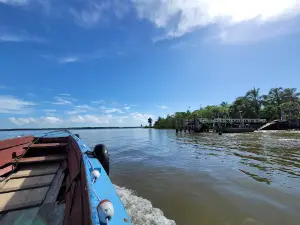 Suriname River