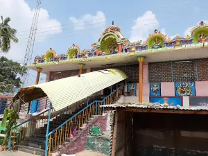 Amba Mutt