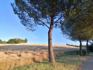 Ausa Dogana San Marino Park