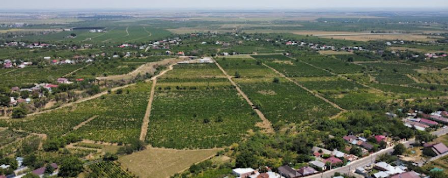 Strada Primăverii, Budeşti - Coteşti - Vrancea