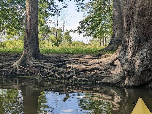 Maple River State Game Area