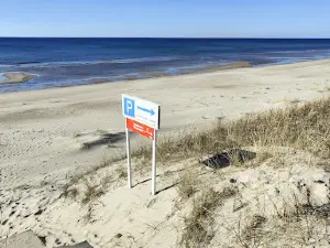 Pūsēnu kāpa