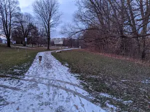 Thamesford Dog Park