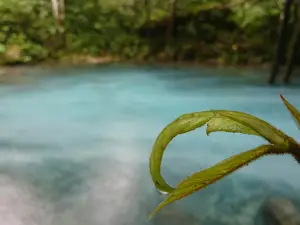 Ninifala Mata Air