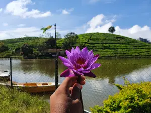 Vagamon Tea Lake Boating