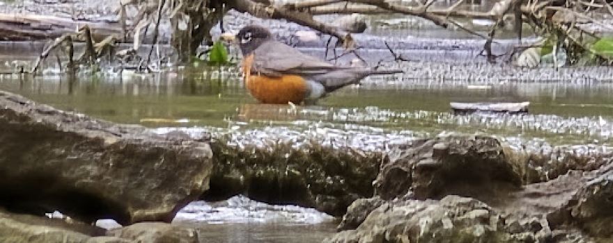 Little Hunting Creek Park