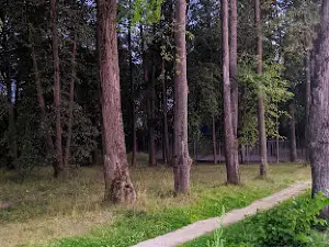 Staryy Park