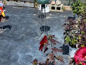 VanHouten's Farm Supply