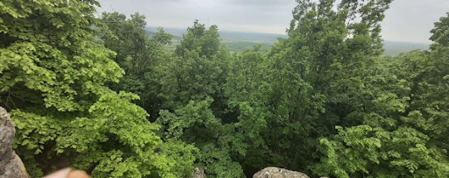 Piatra Cerbului Halmeu Vii
