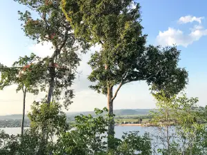 Mirante De Monte Dourado