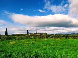 Palaiomanina