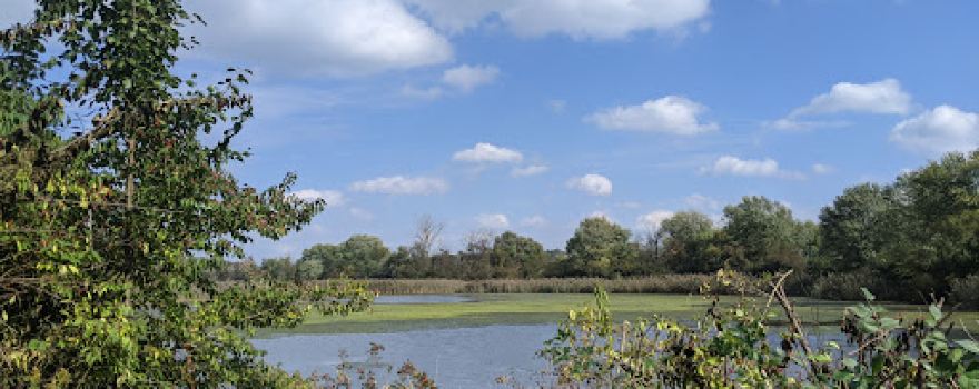 Exton Park