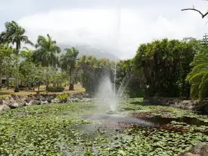 Nevis Botanical Gardens