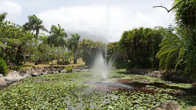 Nevis Botanical Gardens