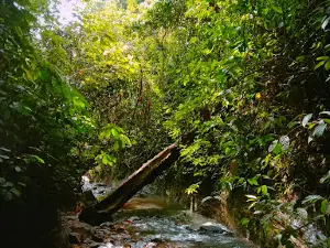 CURUG PUTRI CARITA ( little green canyon banten)