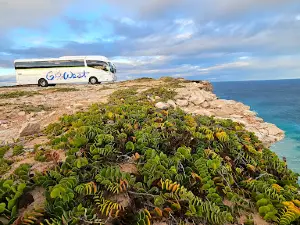 Clifftop camping