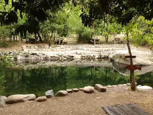 Camping Nuevo Amanecer