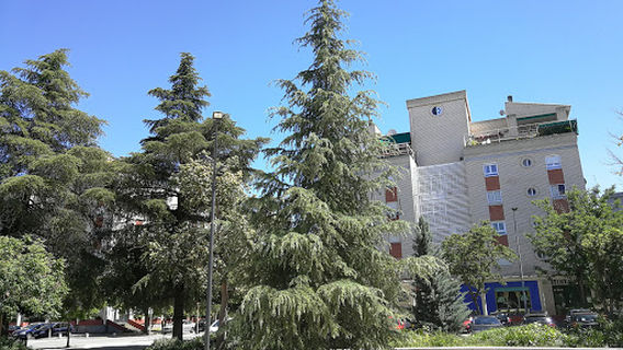 Plaza de las Américas