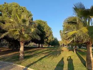 Anitsal Cesme (Nymphaeum)