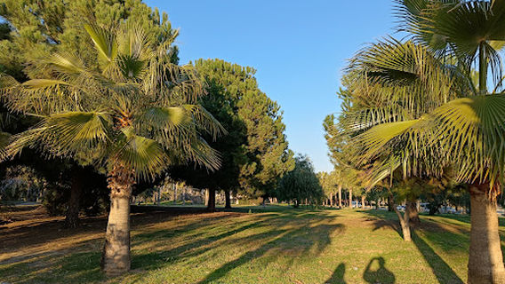 Anitsal Cesme (Nymphaeum)