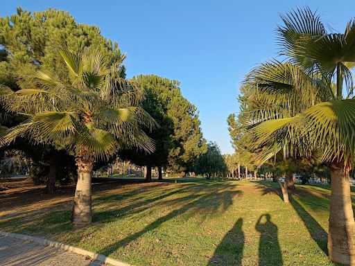 Anitsal Cesme (Nymphaeum)
