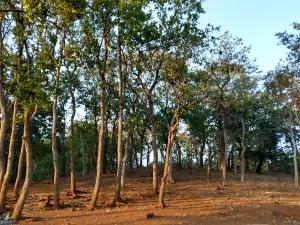 Kapildhara