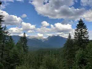 Ross Creek Cedars Scenic Area