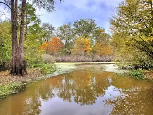 Alex Smith Park