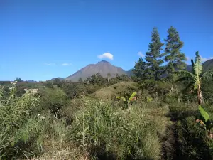 Bur ni Geureudong