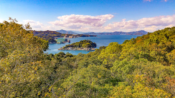 Itoyama Observation Deck