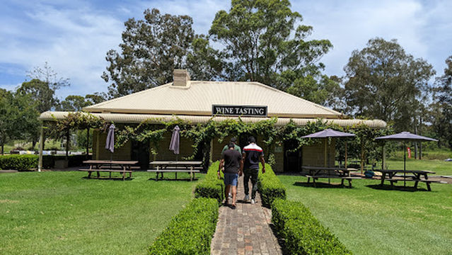 Pokolbin Estate Vineyard
