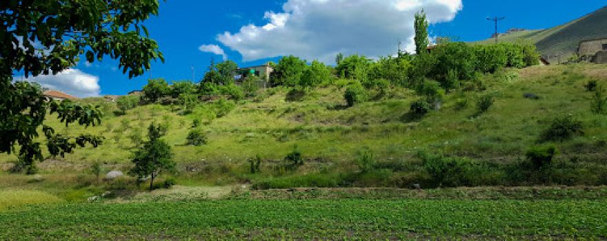 Toraman Parkı