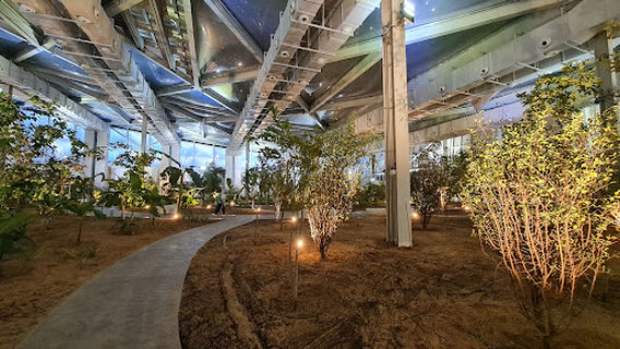 Mawasem Park - Green House