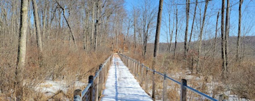 Stewart State Forest