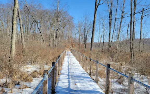 Stewart State Forest