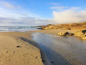 Hellestøstranden