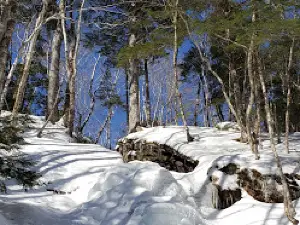 Myles Doyle Falls
