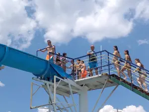 Olympic Swimming Pool