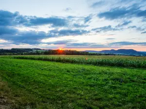 Camping Sites and Landscapes Au Clos de la Chaume