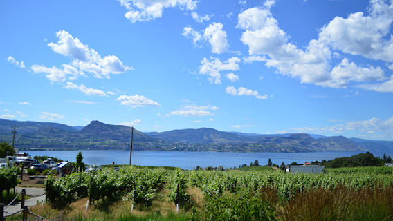 JoieFarm Winery