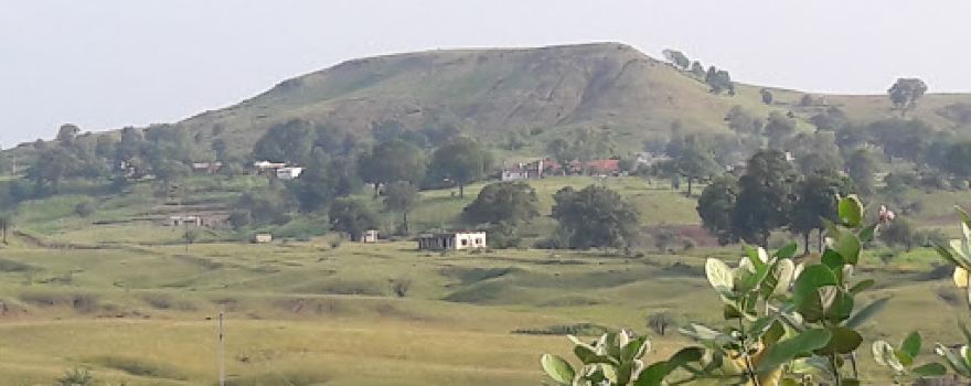 Dr. Ambedkar Garden, Parasia