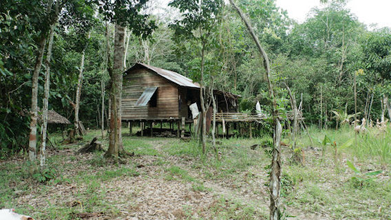 kebun pak Timon